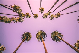 Playas imperdibles de Los Angeles