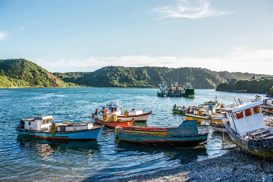 ¿Pesca o trekking? Elige tu deporte en Puerto Montt y sus alrededores